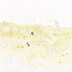 Between Artifice and Nature