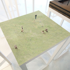Base of Green Field