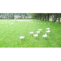 Field Chair