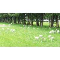 Field Chair
