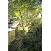 Guest room in Kyoto
