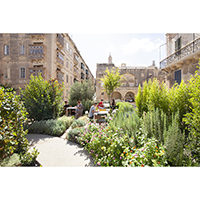 Roof Garden Design at the Valletta Design Cluster